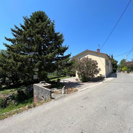 Apartmaji Klabjan - Kaki Osp Εξωτερικό φωτογραφία